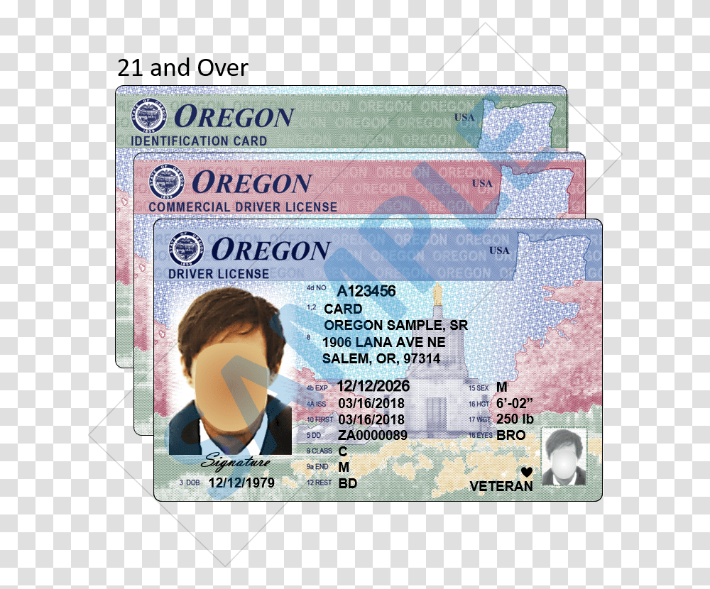 New Oregon Driver License, Person, Human, Document Transparent Png