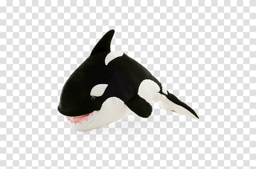 New Ory The Orca Whale Scentsy Buddy Buy Online, Mammal, Sea Life, Animal, Killer Whale Transparent Png