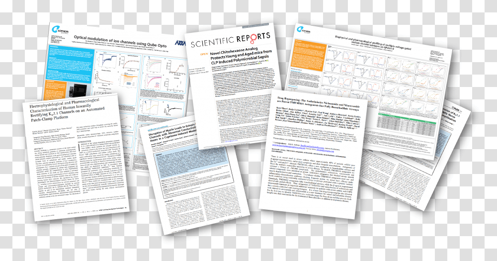 New Papers Posters And Reports From Q1 2019 Sophion Document, Flyer, Advertisement, Brochure, Text Transparent Png