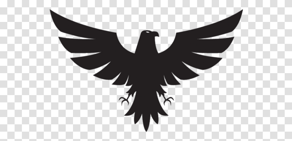 New Photo Editing Logo, Flying, Bird, Animal, Eagle Transparent Png