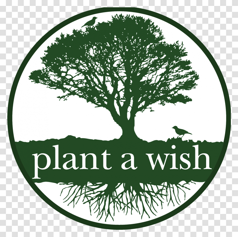 New Plant A Wish Logo For Tree Planting, Oak, Sycamore, Rug, Symbol Transparent Png