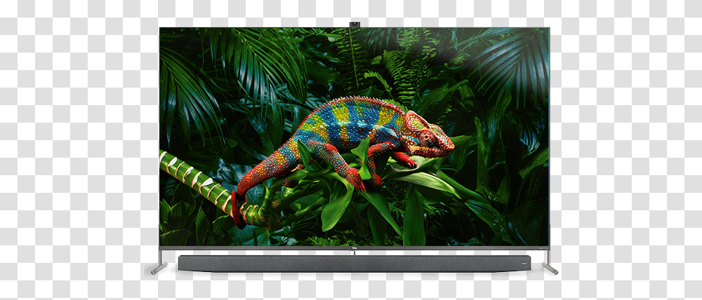 New Productlist Tcl Television, Lizard, Reptile, Animal, Iguana Transparent Png