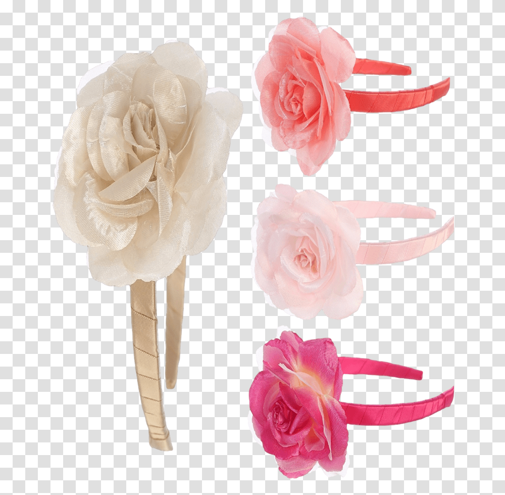 New Rose Flower Floral Headpiece With A Satin Wrapped Garden Roses, Plant, Blossom, Petal, Carnation Transparent Png