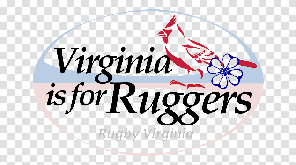 New Rv Logo Mount Wachusett Community College, Animal, Bird, Cardinal Transparent Png