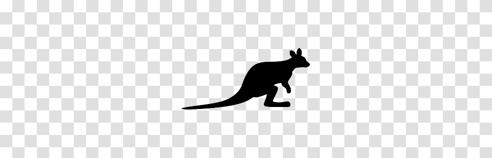 New Silhouettes Walrus Wasp And More, Kangaroo, Mammal, Animal, Wallaby Transparent Png