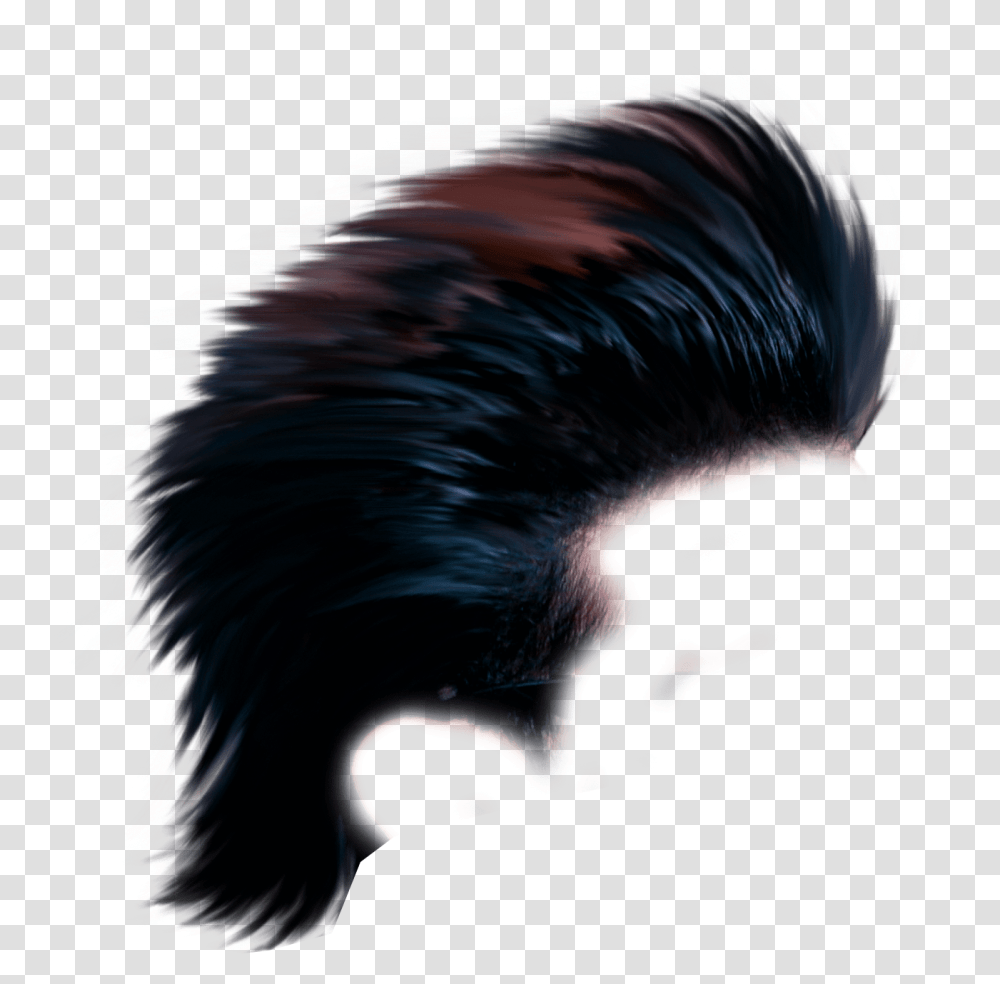 New Stylish Hair, Vulture, Bird, Animal, Head Transparent Png