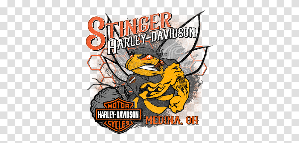 New & Used Harley Davidson Motorcycles In Medina Stinger Stinger Harley Davidson, Poster, Advertisement, Person, Human Transparent Png