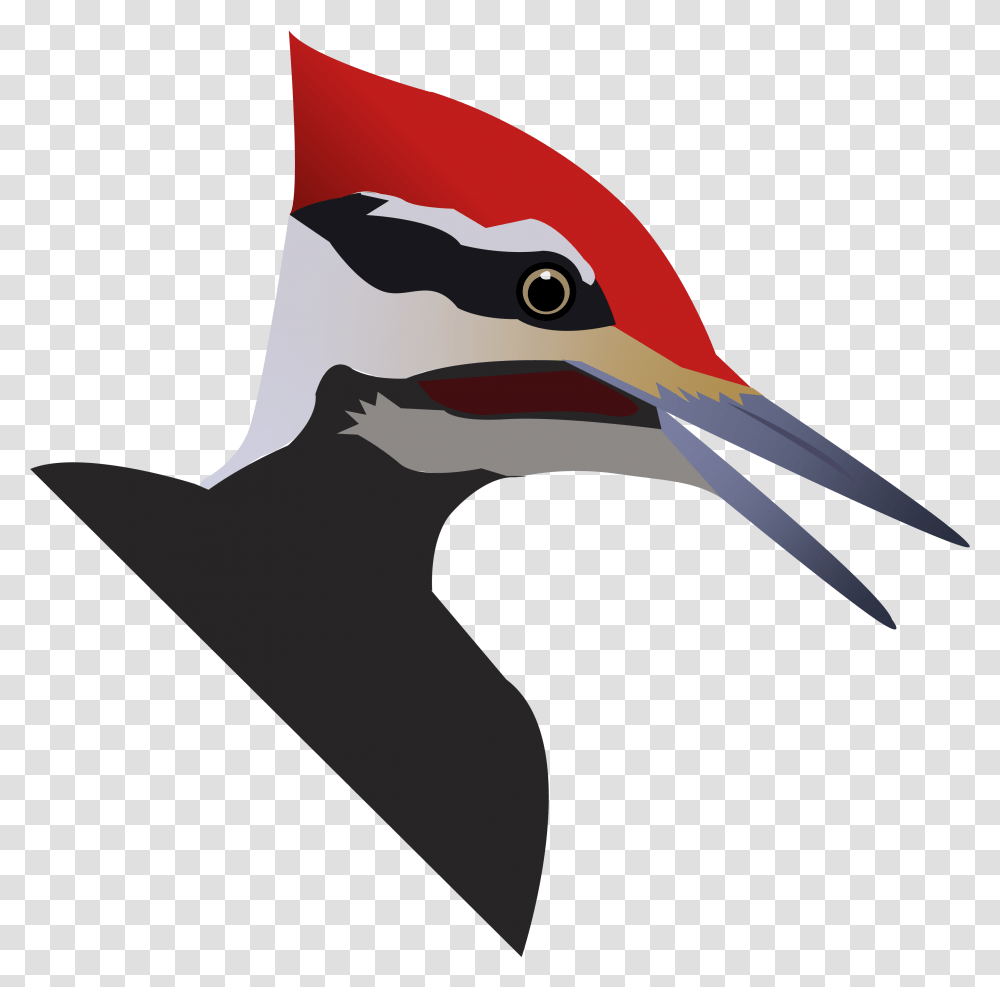 New Version Of Capstone Pileated Woodpecker, Beak, Bird, Animal, Waterfowl Transparent Png