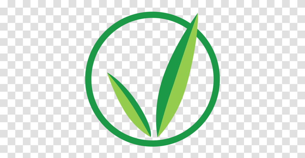 New Video, Plant, Vegetation, Leaf, Green Transparent Png