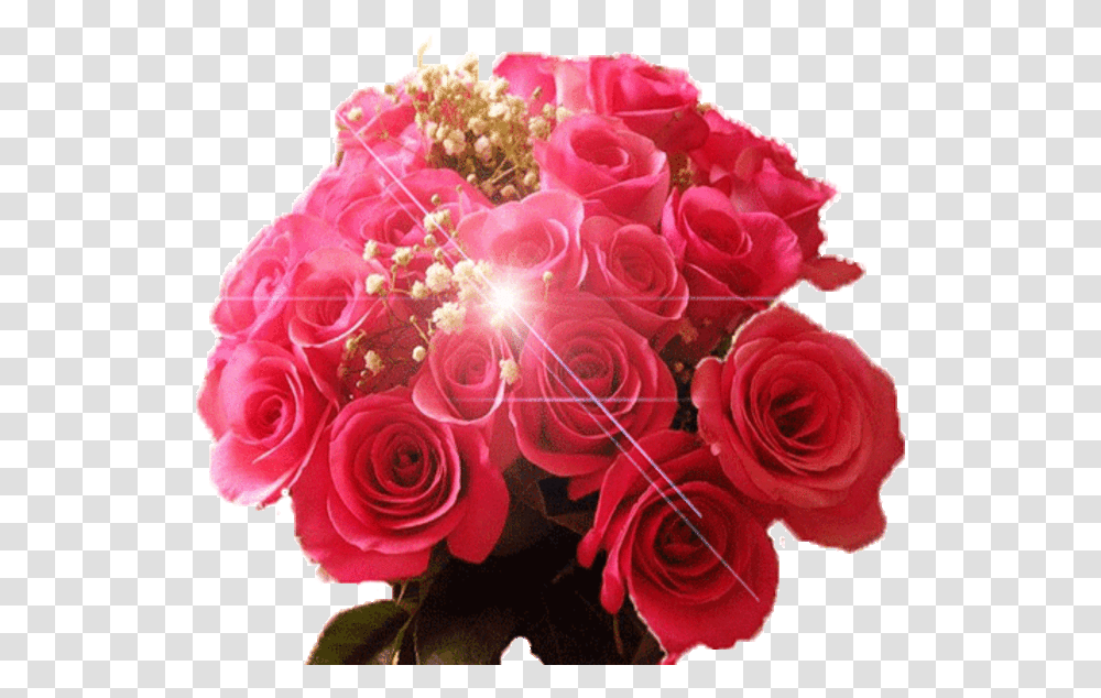New Year Flowers Images Gif, Plant, Blossom, Rose, Flower Bouquet Transparent Png