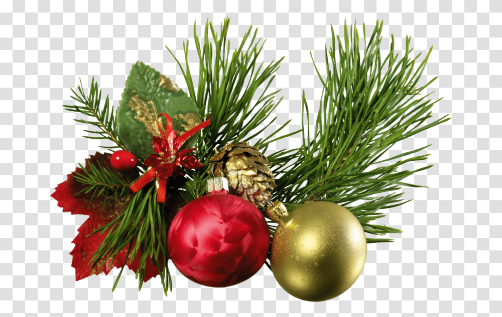 New Year, Plant, Tree, Ornament, Pineapple Transparent Png