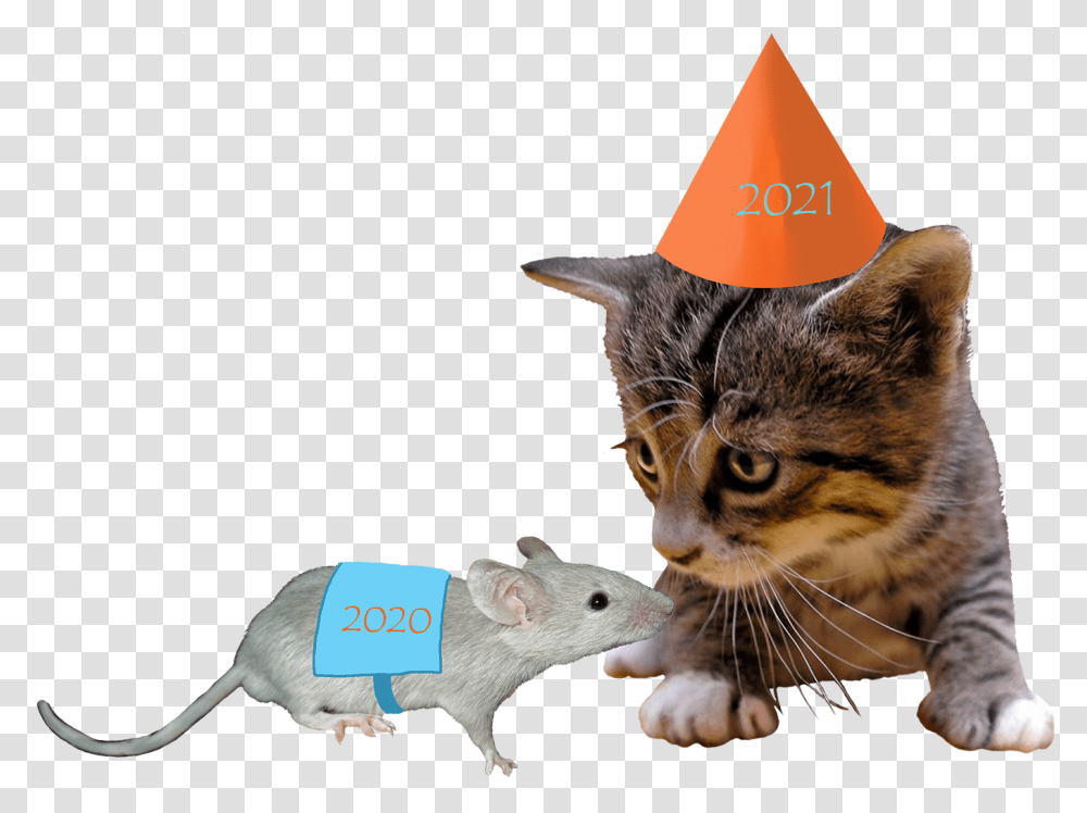New Years Clipart New Eve, Rat, Rodent, Mammal, Animal Transparent Png