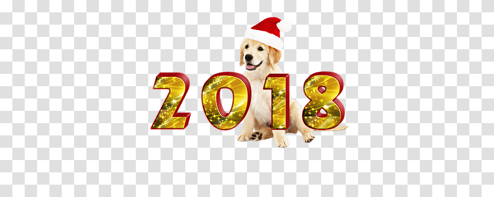 New Years Eve Holiday, Canine, Mammal Transparent Png