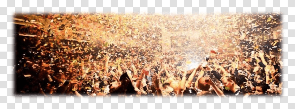 New Years Party Crowd, Person, Bonfire, Flame, Concert Transparent Png