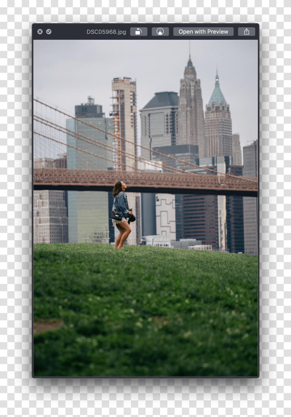 New York City, Person, Grass, Plant, Shorts Transparent Png