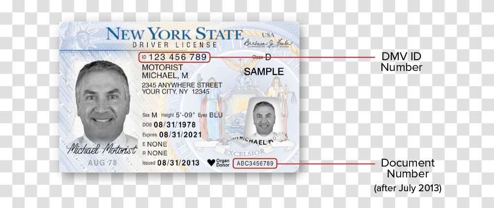 New York Dmv Sample Photo Documents 2021 New York State License, Text, Person, Human, Driving License Transparent Png