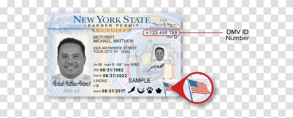 New York Dmv Sample Photo Documents New York Drivers License Number, Text, Person, Human, Driving License Transparent Png