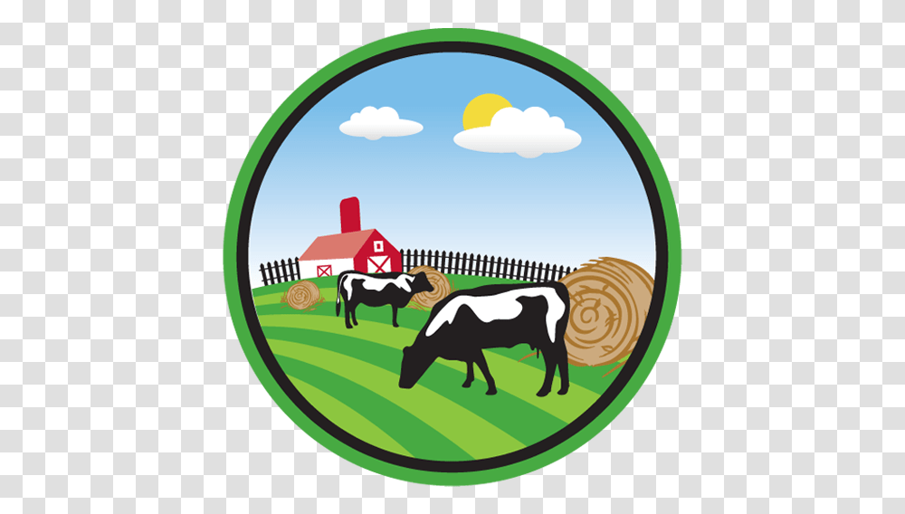 New York Simply Grazin' Simply Grazin Farms, Cow, Cattle, Mammal, Animal Transparent Png