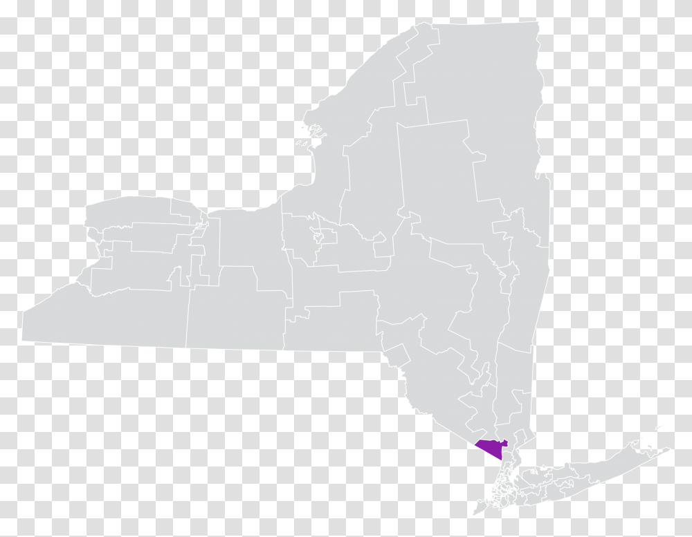 New York State Senate District 38 District 4 Nys Senate Map, Plot, Animal, Diagram Transparent Png