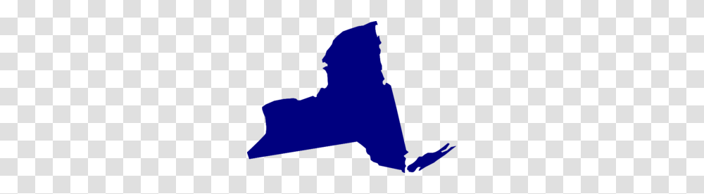 New Yorks Constitutional Convention Fails And Democrats Win Nyc, Silhouette, Person, Human, People Transparent Png