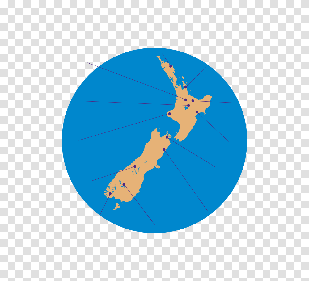 New Zealand Coinn, Light, Flare, Plot, Diagram Transparent Png