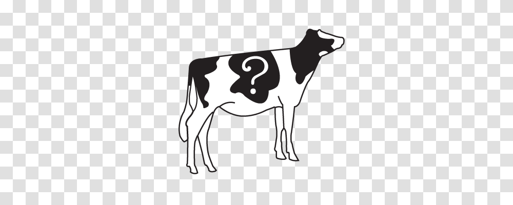 New Zealand Holstein Friesian Association, Cow, Cattle, Mammal, Animal Transparent Png