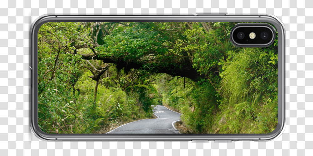 New Zealand Karekare Road Foliage Landscape Mockup Mobile Phone Case, Monitor, Screen, Electronics, Outdoors Transparent Png