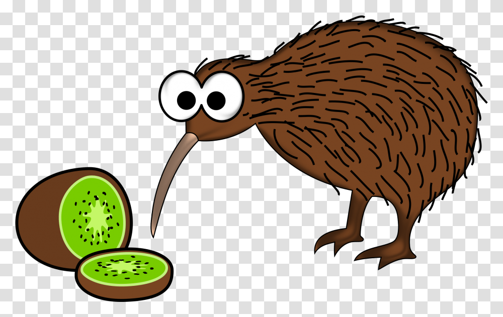 New Zealand Kiwi Bird Cartoon, Animal, Fowl Transparent Png