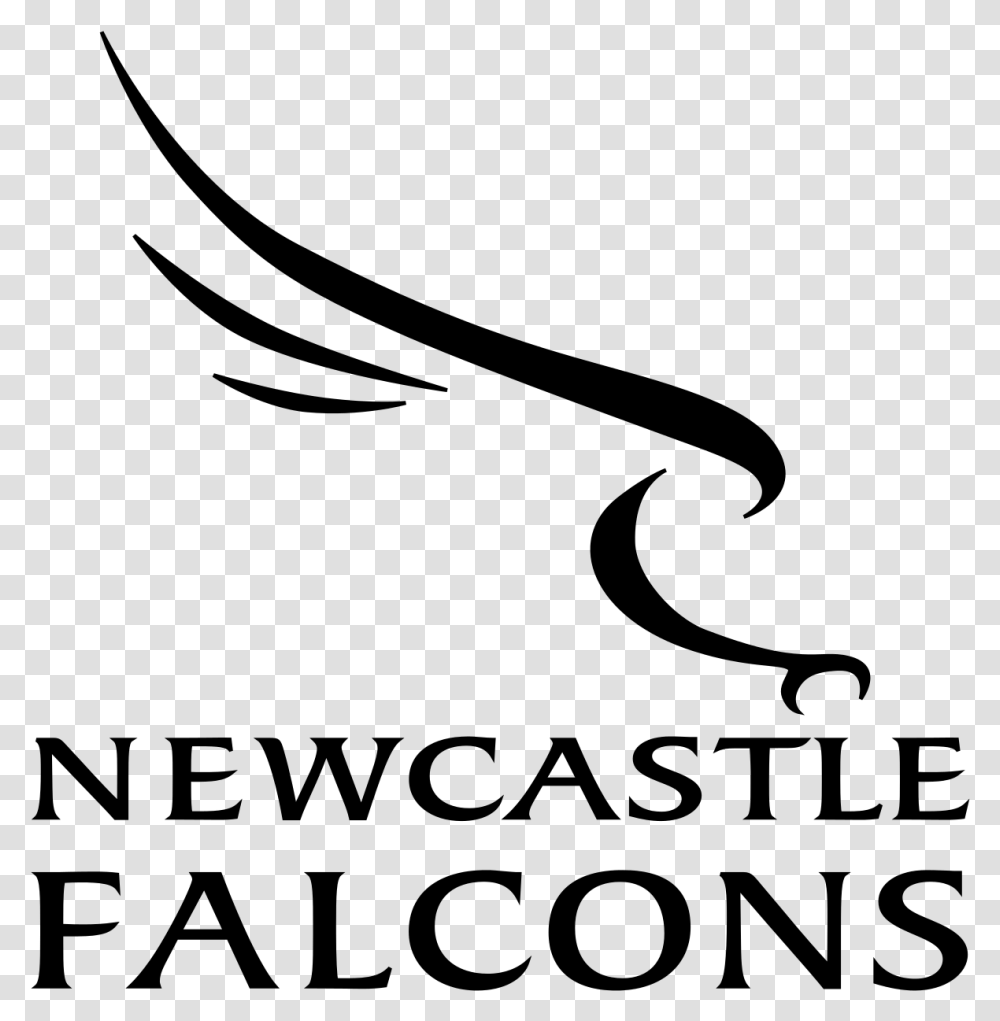 Newcastle Falcons Rugby Logo Newcastle Falcons Logo, Gray, World Of Warcraft Transparent Png