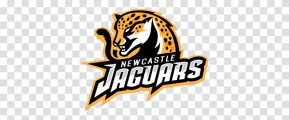 Newcastle Jaguars, Animal, Wildlife, Mammal, Lesser Panda Transparent Png