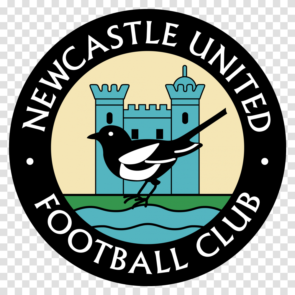 Newcastle United Football Newcastle United, Bird, Animal, Magpie, Poster Transparent Png