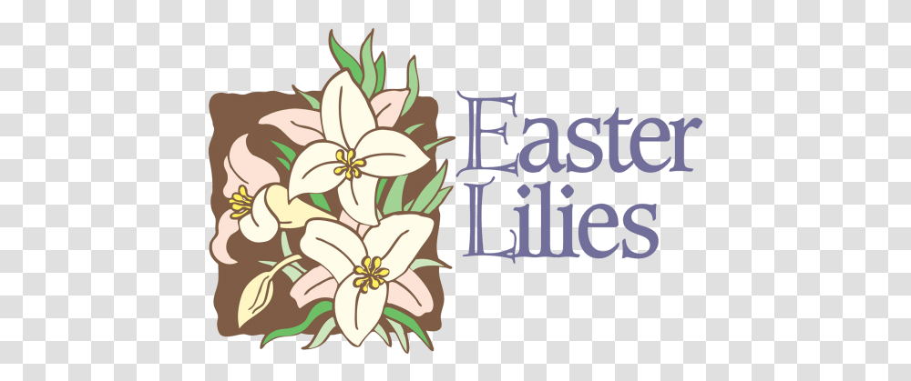 News And Events - St John United Church Of Christ New Easter Lilies Clip Art, Plant, Flower, Blossom, Floral Design Transparent Png