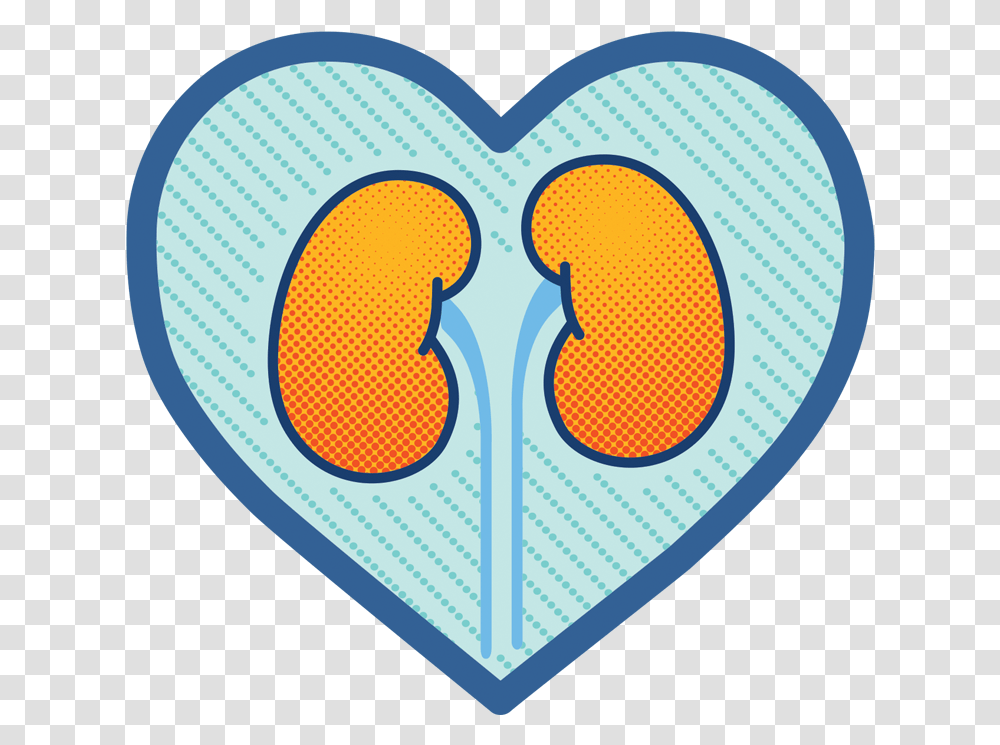 News Archives • Osprey Medical Kidneyoutline, Heart, Text, Plectrum Transparent Png