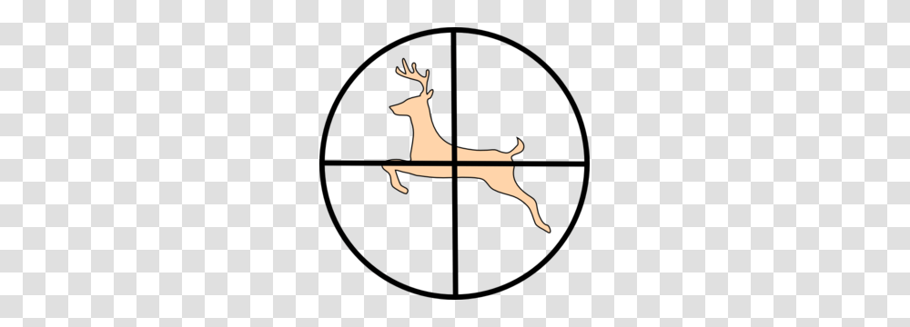 News, Deer, Wildlife, Mammal, Animal Transparent Png