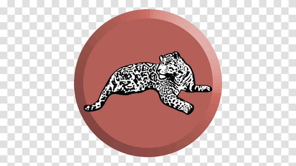 News School Bode Museum, Panther, Wildlife, Mammal, Animal Transparent Png