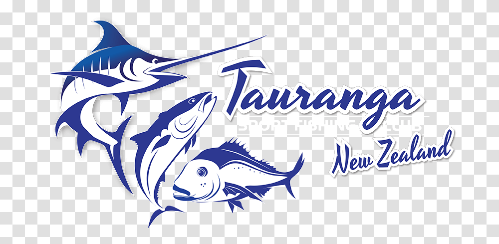 News Tauranga Sport Fishing Club Tauranga Sport Fishing Club, Tuna, Sea Life, Animal, Bonito Transparent Png