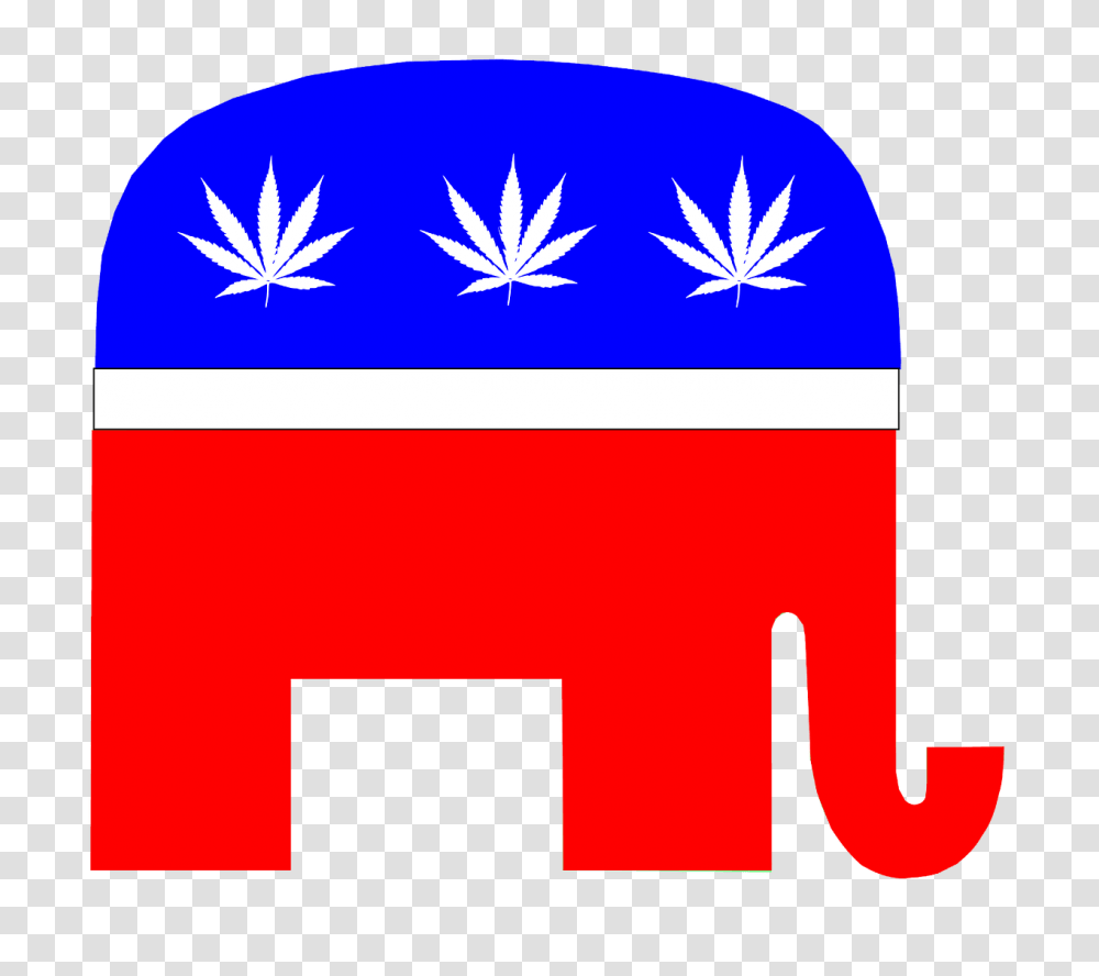 News Trump Endorses Marijuana Federalism Bill, First Aid, Plant, Logo Transparent Png