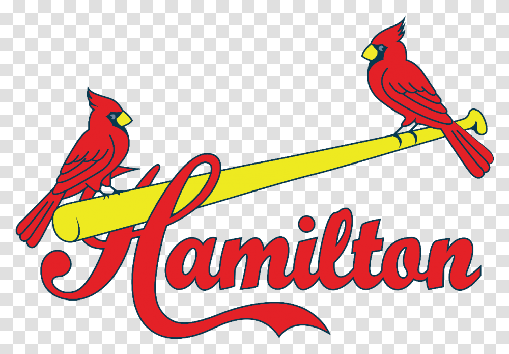News > 2017 Award Winners Announced Hamilton Cardinals Rep Northern Cardinal, Bird, Animal, Logo, Symbol Transparent Png