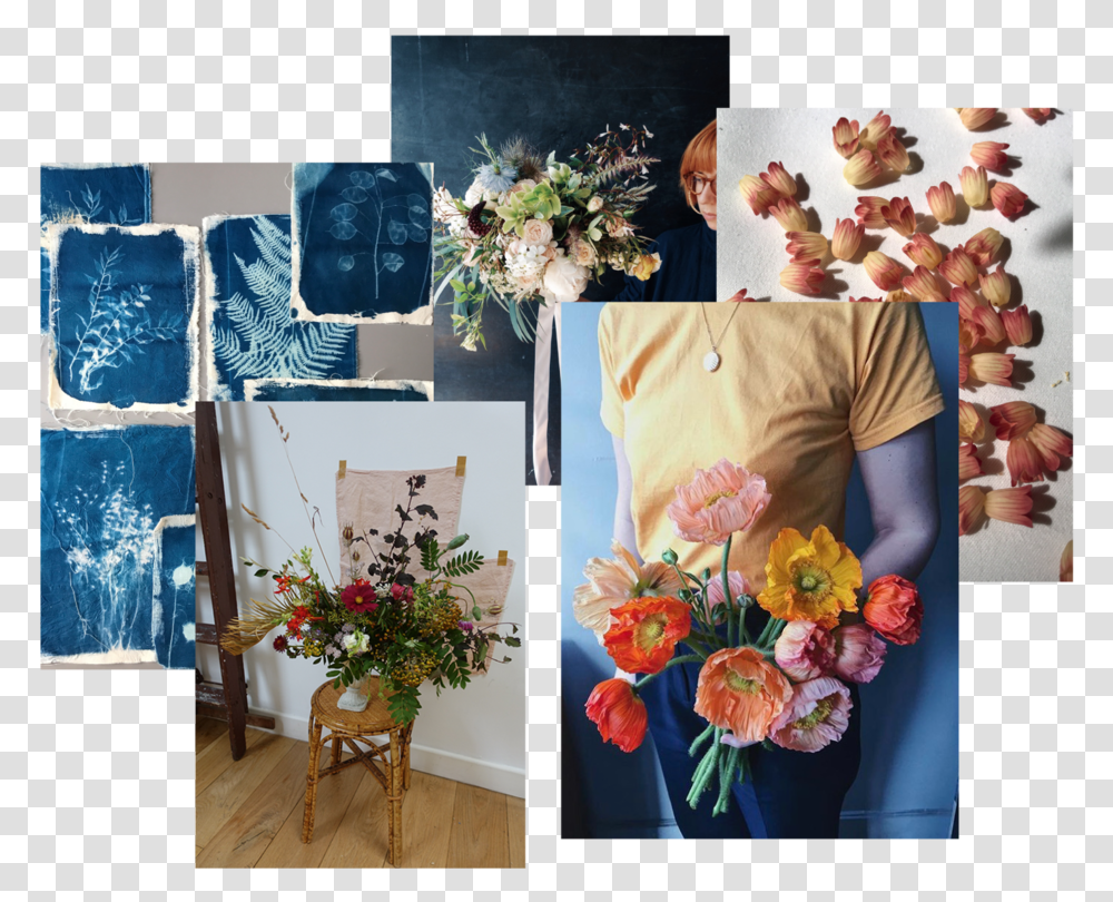 Newsletter Collage Bouquet, Plant, Pillow, Cushion, Person Transparent Png