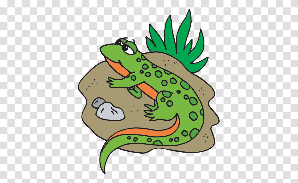 Newt Clipart Amphibian, Wildlife, Animal, Frog, Gecko Transparent Png