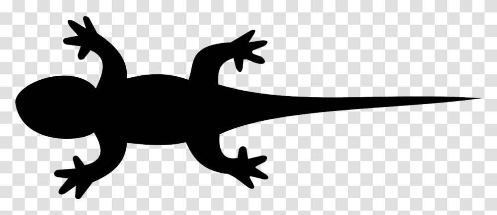 Newt Clipart Black Lizard Clip Art, Animal, Silhouette, Stencil, Reptile Transparent Png