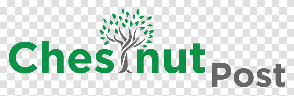 Newt, Logo, Plant Transparent Png