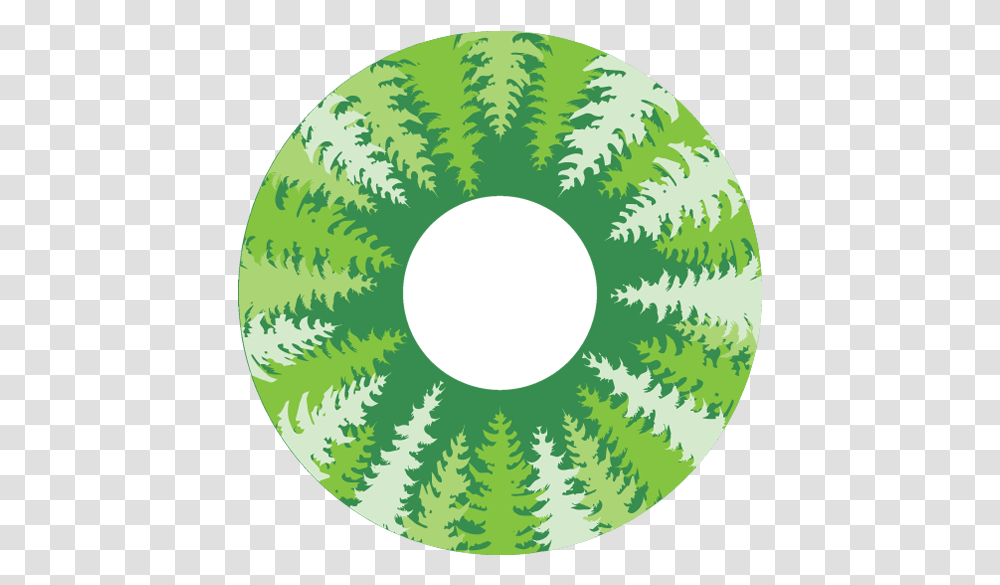 Next Design For The Space Needle Top Trees Westside Seattle Space Needle Trees, Green, Plant, Rug, Symbol Transparent Png