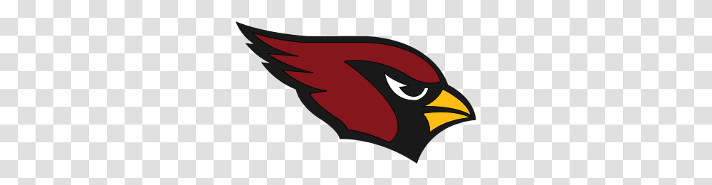 Nfc Wildcard Preview Arizona Cardinals Carolina Panthers, Bird, Animal, Beak, Flamingo Transparent Png