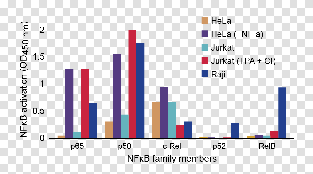 Nfkb Family Profiling Of Dna Binding Activation In Jurkat Tnf, Plot, Urban Transparent Png