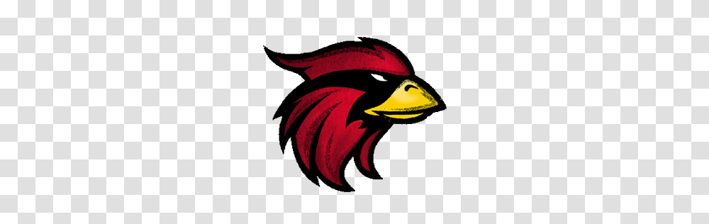 Nfl Cardinals Logo, Person, Human, Dragon, Bird Transparent Png