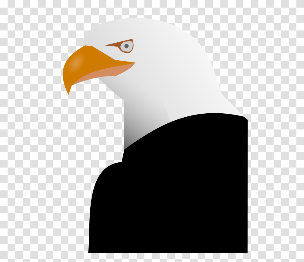 Nfroidure Eagle, Nature, Bird, Animal, Beak Transparent Png