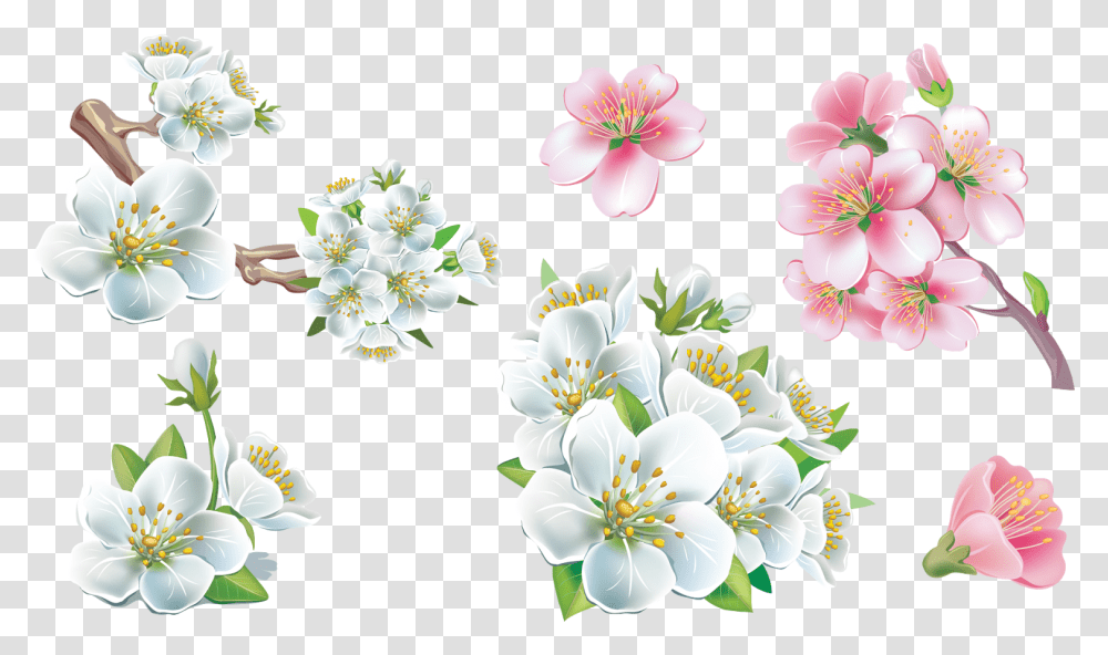 Ng Sims Background Flower Frame, Plant, Blossom, Anther, Cherry Blossom Transparent Png