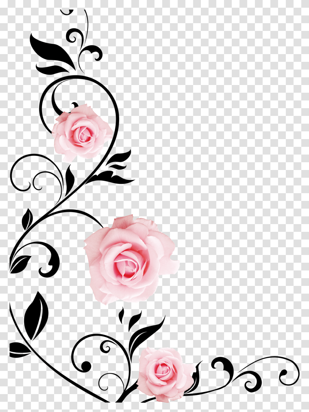 Nice 3d Wall Rose Flower Drawings, Plant, Blossom, Petal, Carnation Transparent Png