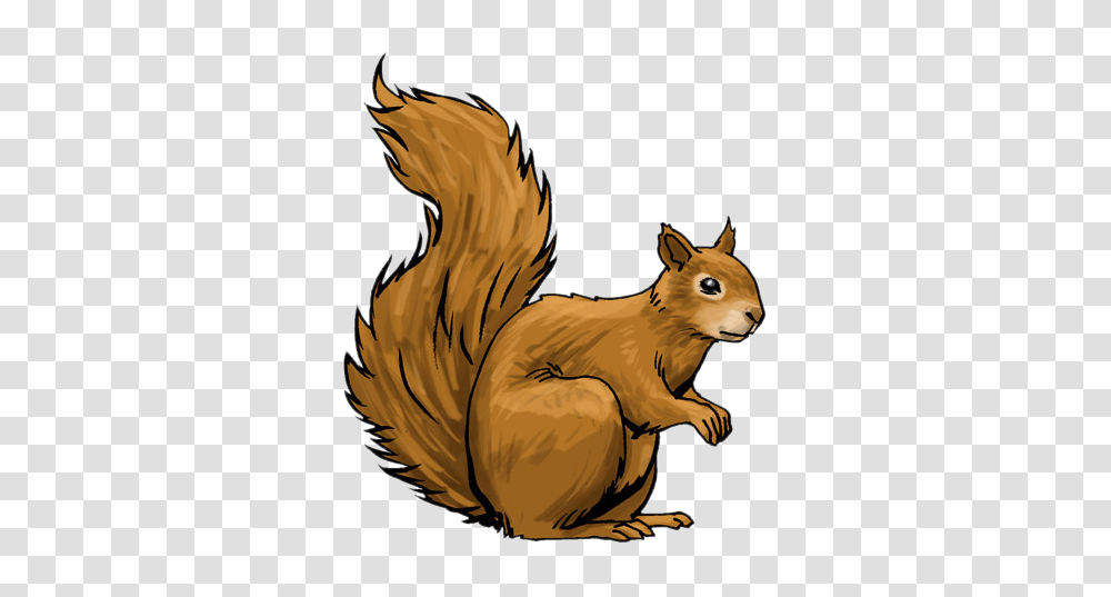 Nice Clipart Of A Squirrel, Rodent, Mammal, Animal, Tiger Transparent Png